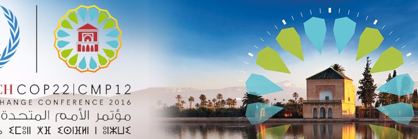 EcoteneoKnights's profile banner image