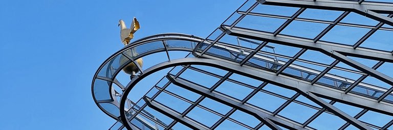 Michael Anderson banner