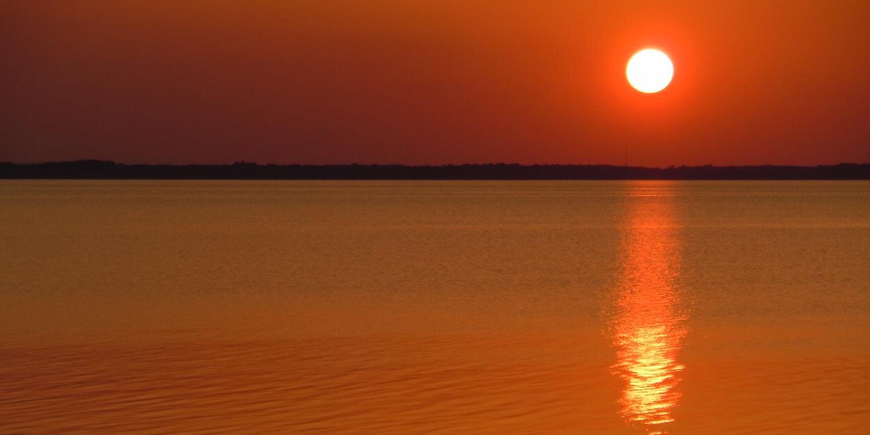 Michael David banner