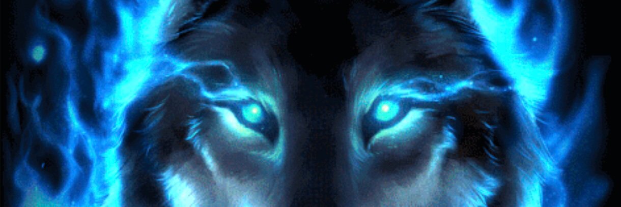 BlueVitals44's profile banner image