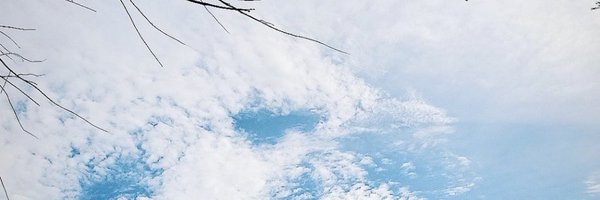 acilaaa_17 Profile Banner