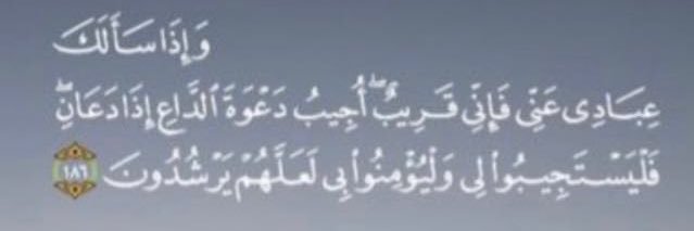 bo_edghailib's profile banner image