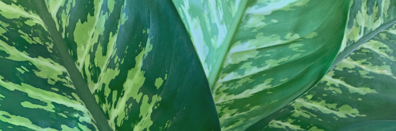 solbm_'s profile banner image