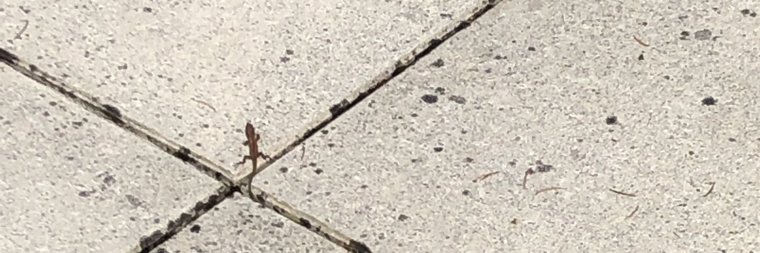 Jean-Pierre ABELIN banner