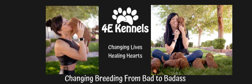 4ekennels's profile banner image
