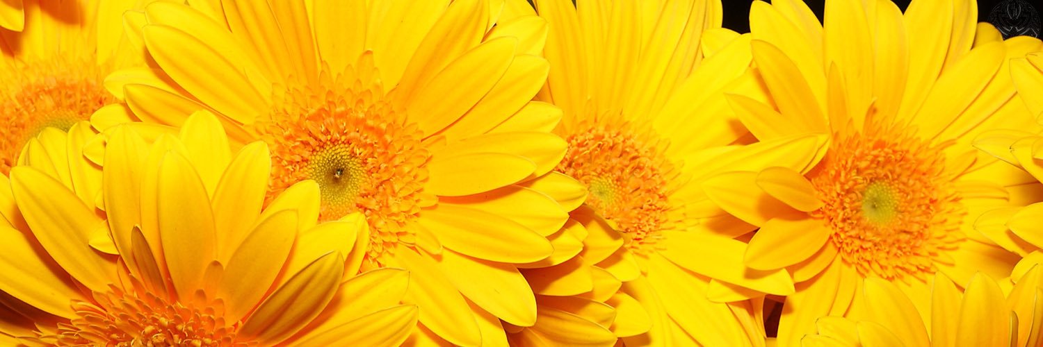 iMobileCHMall's profile banner image