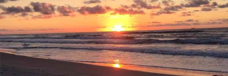 Lin_zee05's profile banner image