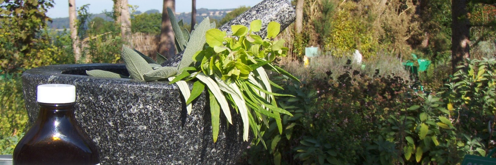 DilstonPhysicGarden banner