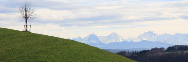 erichfischer Profile Banner