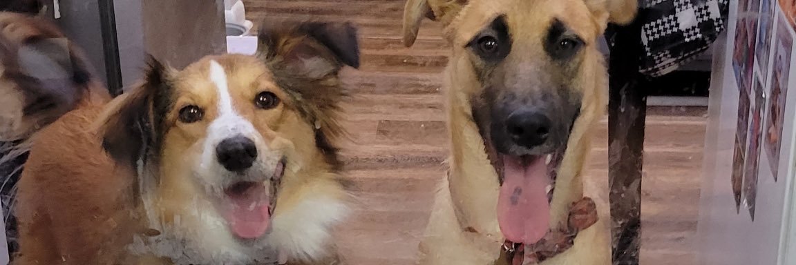 brandonwick23's profile banner image