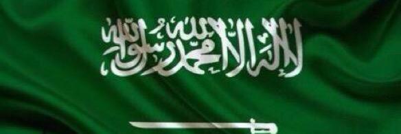 saadalibrahim's profile banner image