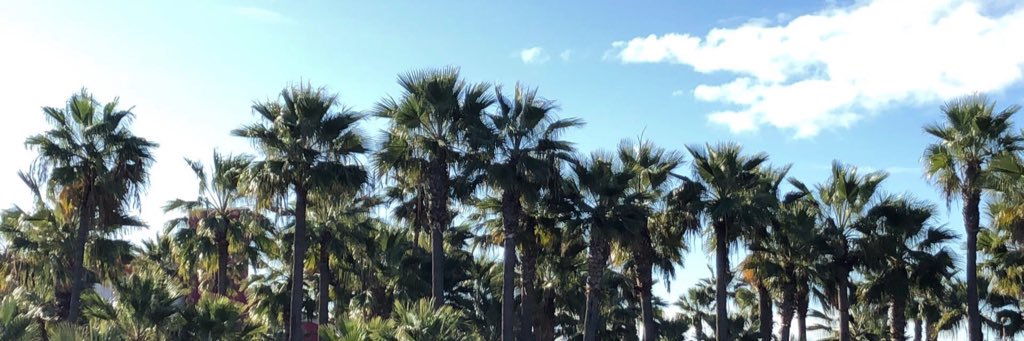 juliakwaz's profile banner image