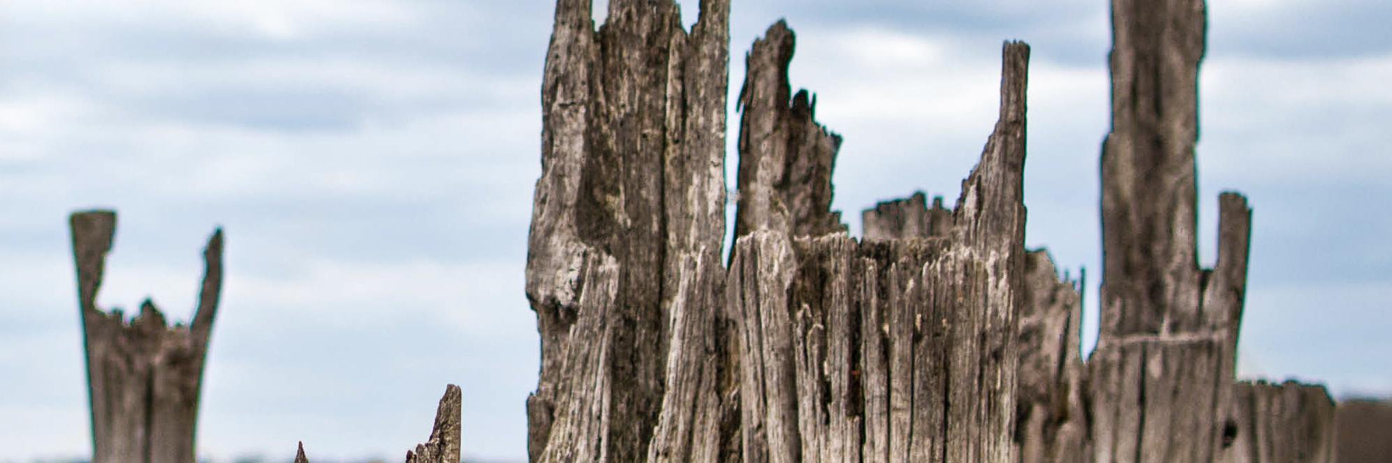 MrBrianAlmeida's profile banner image