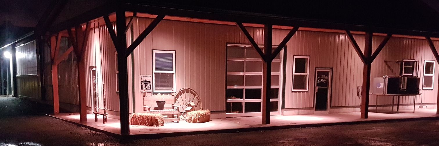 Kevin Bisschop 🇨🇦 🐄🧍‍♂️ banner