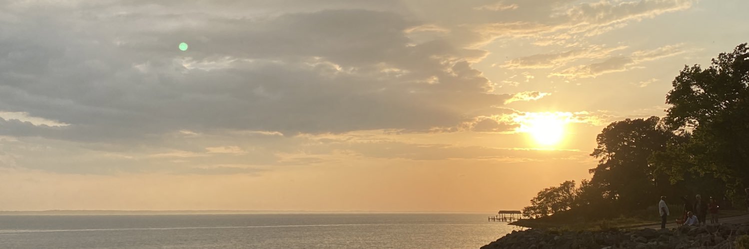 lvickers09's profile banner image