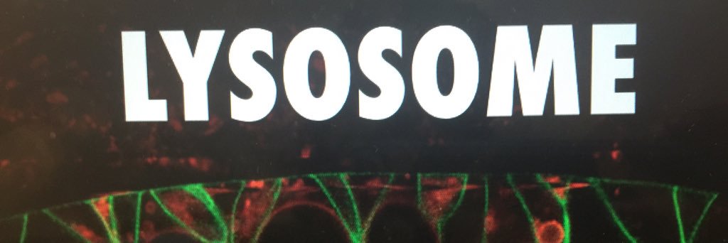 ZomeeHomie's profile banner image