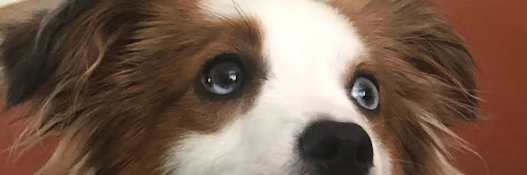 Fr_Martha's profile banner image