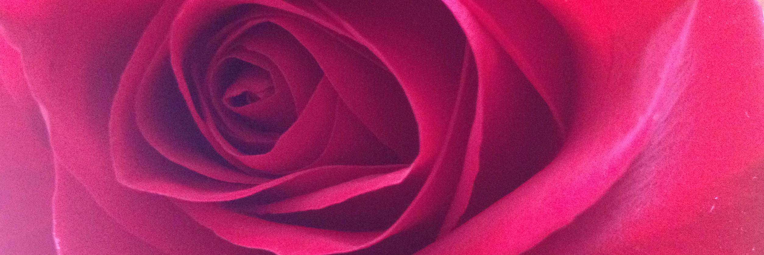 Whittney Helper banner