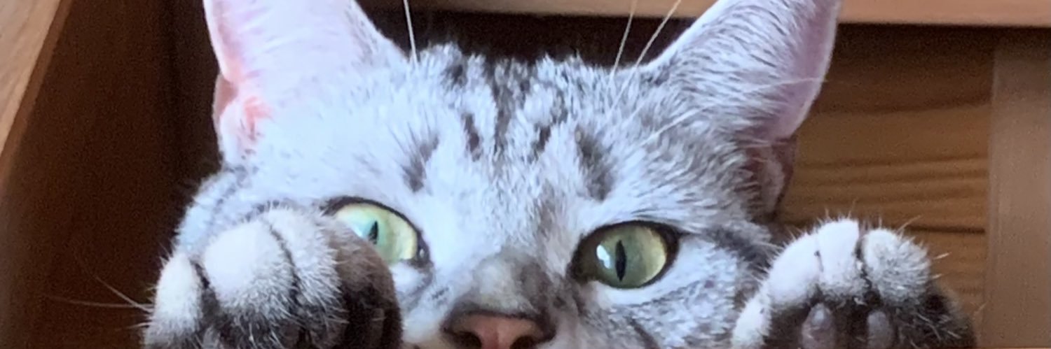 EM banner