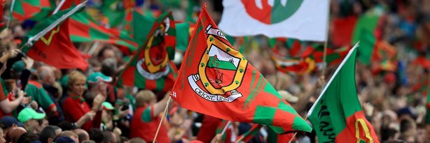 WaveSweeper's profile banner image