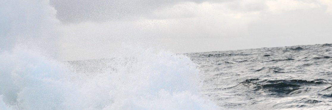 Matthias Obst banner