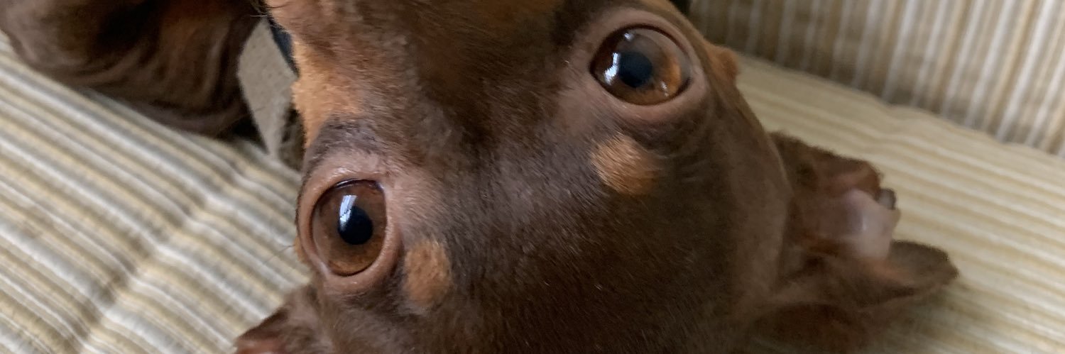 peraza_frida's profile banner image