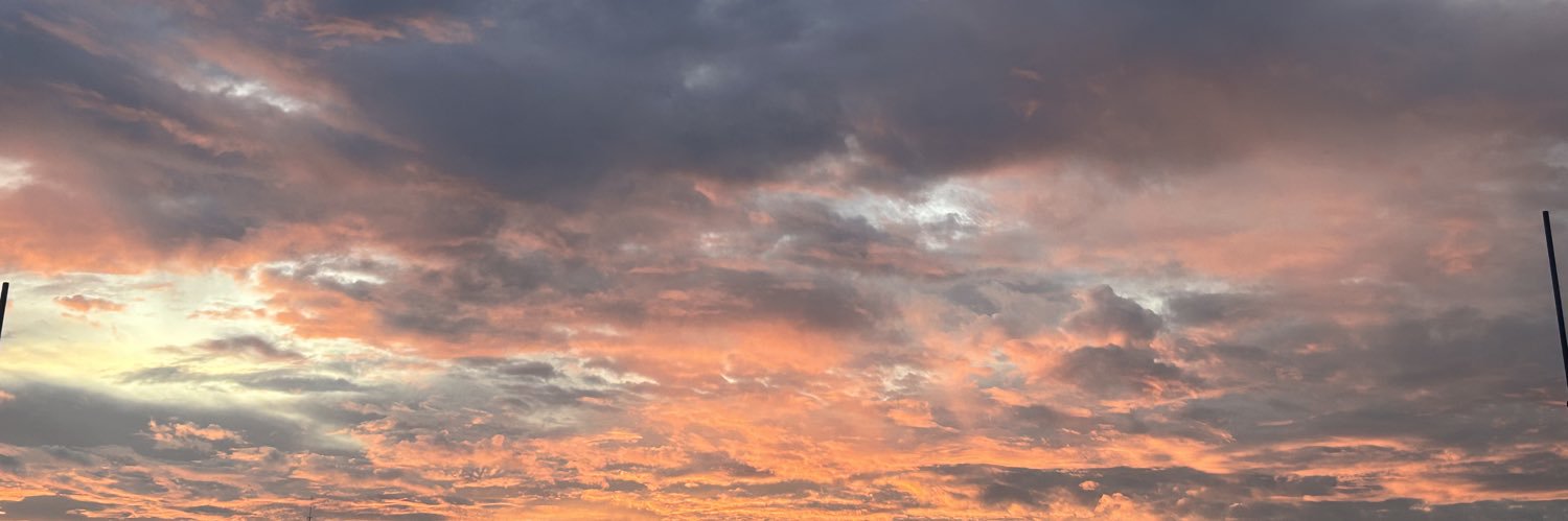 Feralcala_'s profile banner image