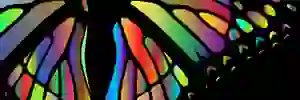 motylek1310's profile banner image