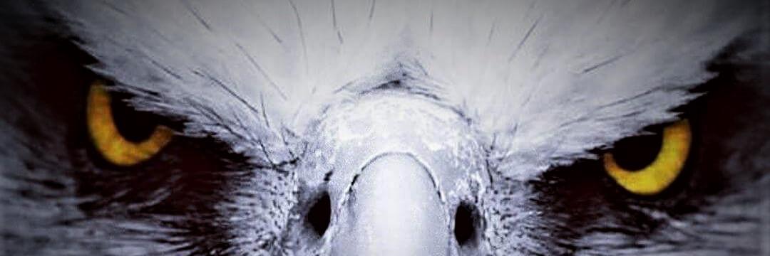 MuratAzmi's profile banner image