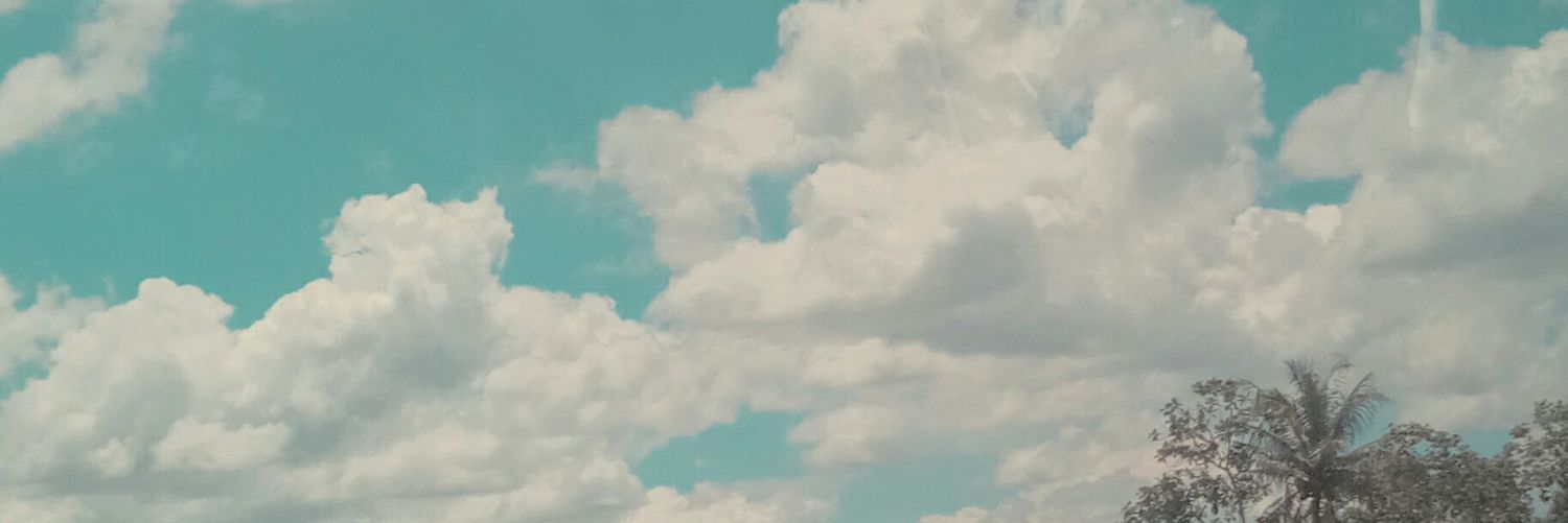 Bphaunair's profile banner image