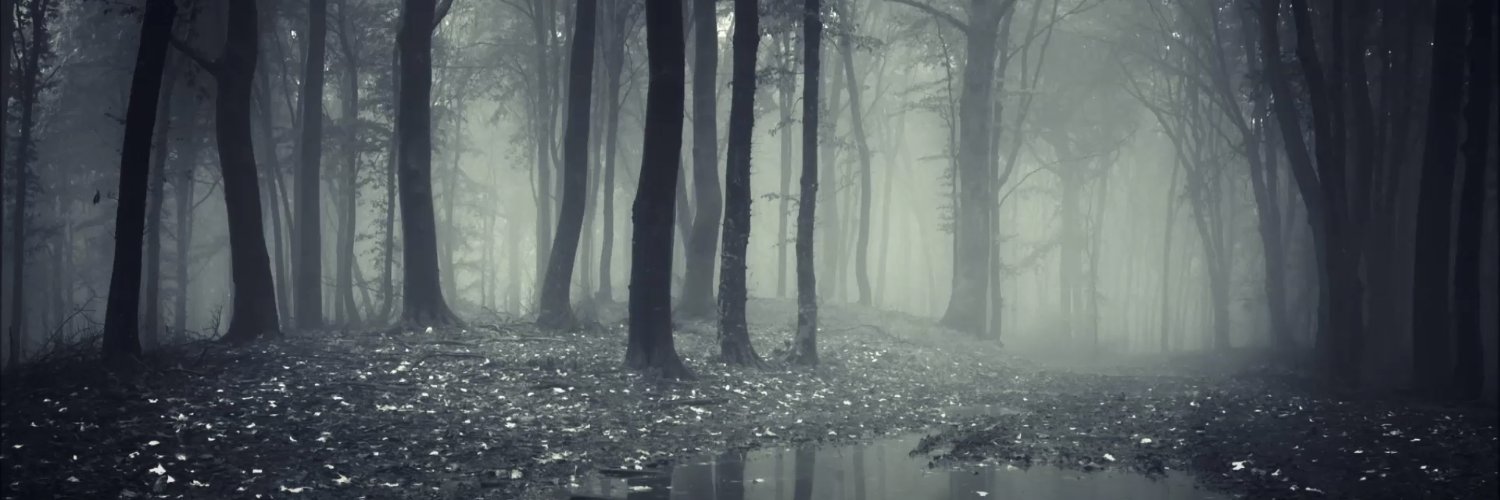 csXaXa's profile banner image