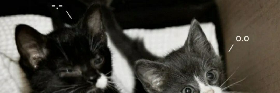abitttt_'s profile banner image