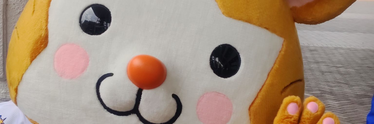 Knt_51_Bay's profile banner image