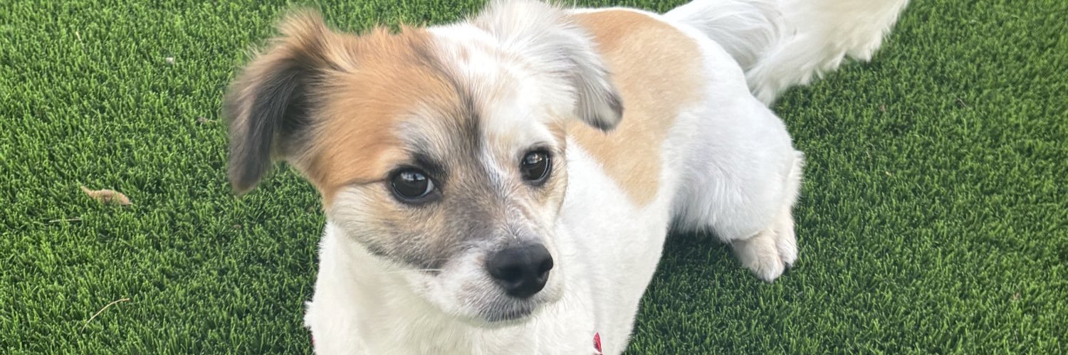 ForeverHannah25's profile banner image