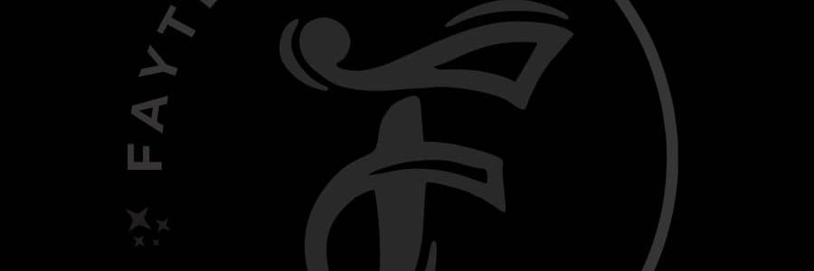 faytefits's profile banner image