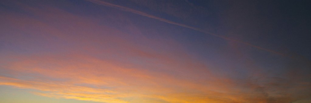 annaedelaney's profile banner image