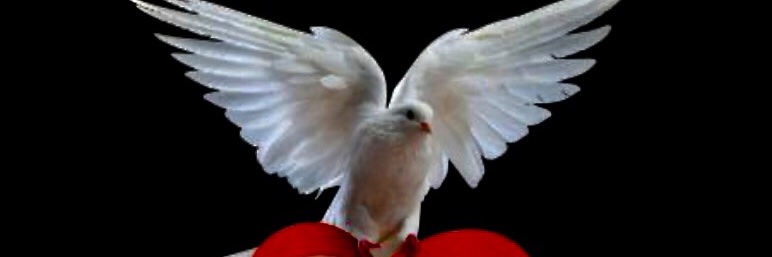 StandFirm4Jesus's profile banner image