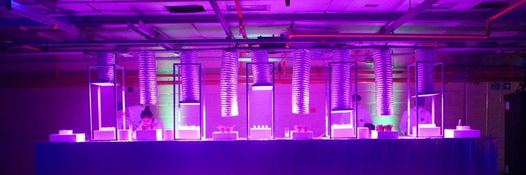 Tina Nisson Design banner