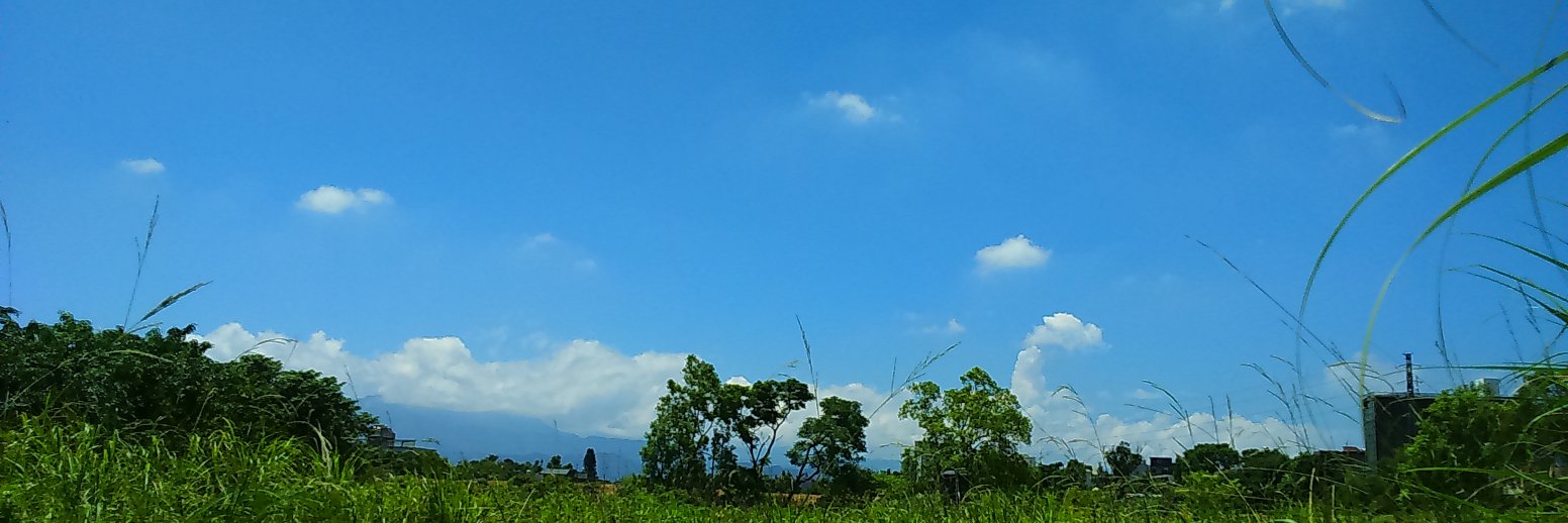 CreamGreenWorld's profile banner image