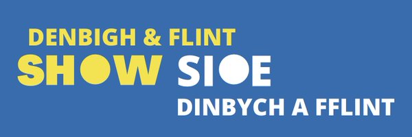 DenbFlintShow Profile Banner