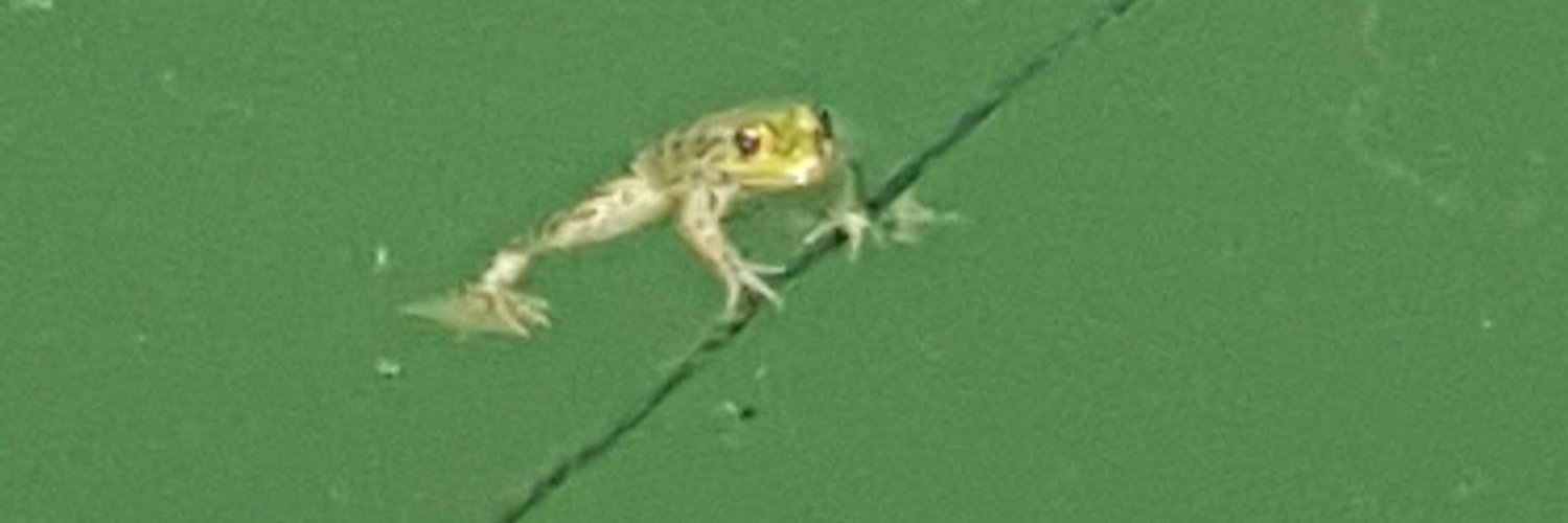 IvanBuninn's profile banner image