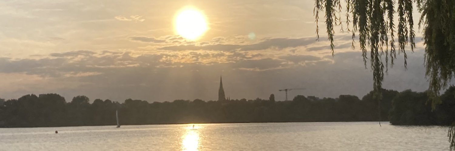birgit_ffm's profile banner image