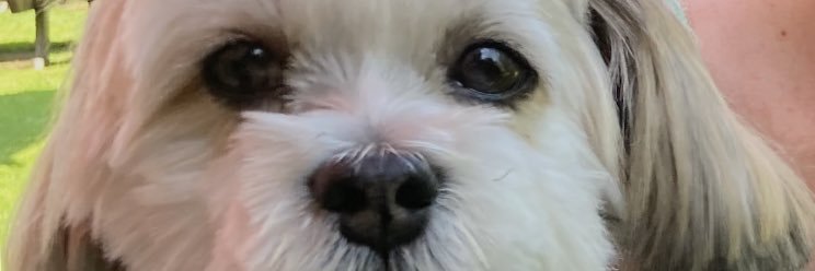 NormanAlison's profile banner image