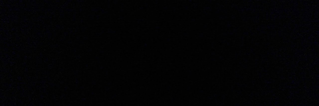 fefisbueller's profile banner image