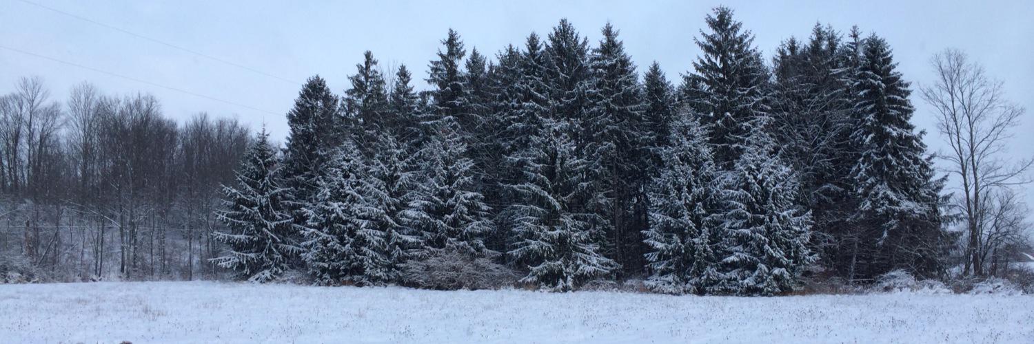 RidgeRunner15's profile banner image