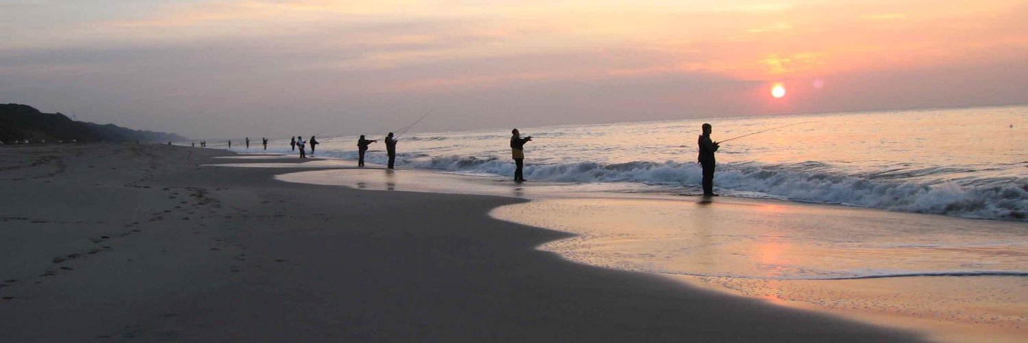 メジャークラフト株式会社 banner