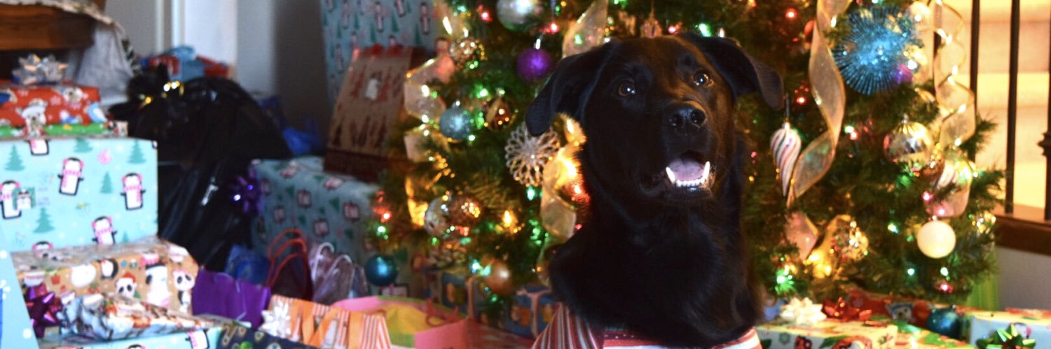 MalikeeMariee's profile banner image