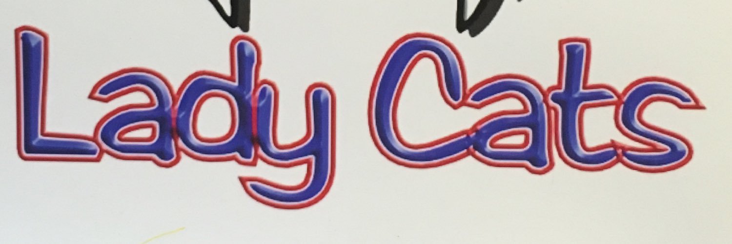 LadyCatAthletic's profile banner image