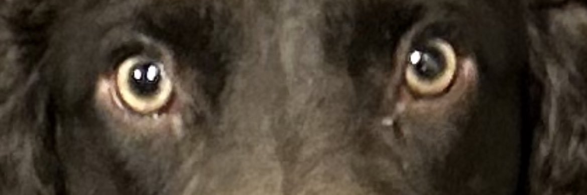 Tmc24Clary's profile banner image