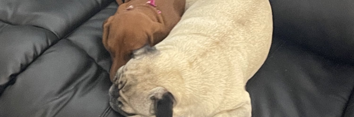 marinaa__g's profile banner image